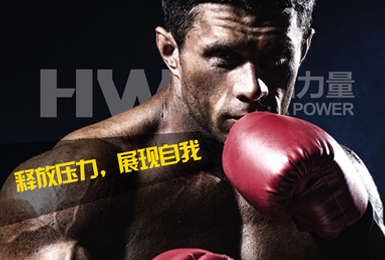 华武决